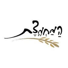 לוגו המחמצת